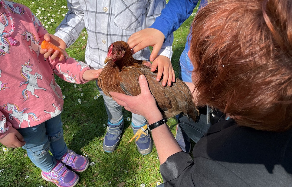 Kinder streicheln ein Huhn, das von einer Frau gehalten wird